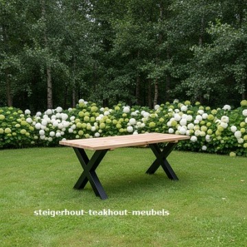 Douglas tuintafel metaal x verkleind