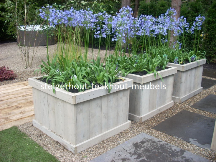 Alfabet fundament Zaklampen Steigerhouten plantenbak Agapanthus - steigerhout-teakhout-meubels